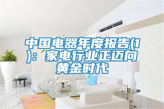 中國電器年度報(bào)告(1)：家電行業(yè)正邁向黃金時(shí)代