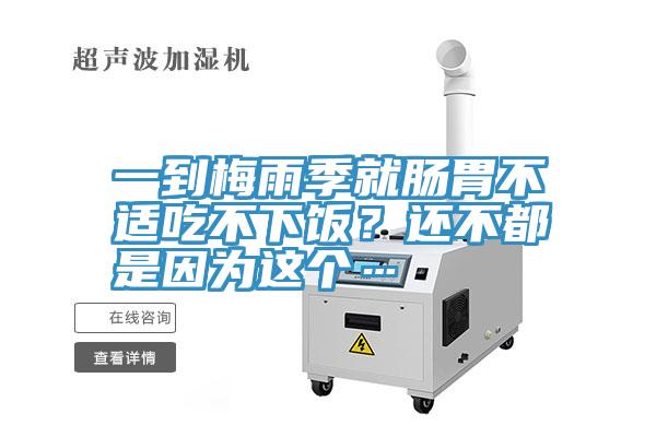 一到梅雨季就腸胃不適吃不下飯？還不都是因?yàn)檫@個(gè)…