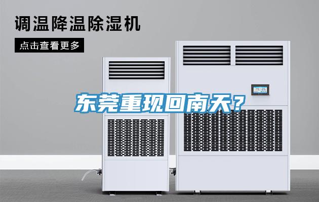 東莞重現(xiàn)回南天？