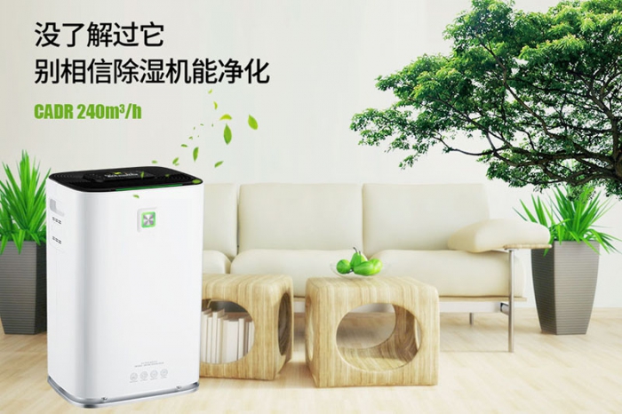 一到回南天狗狗就感冒+皮膚病，怎么辦？