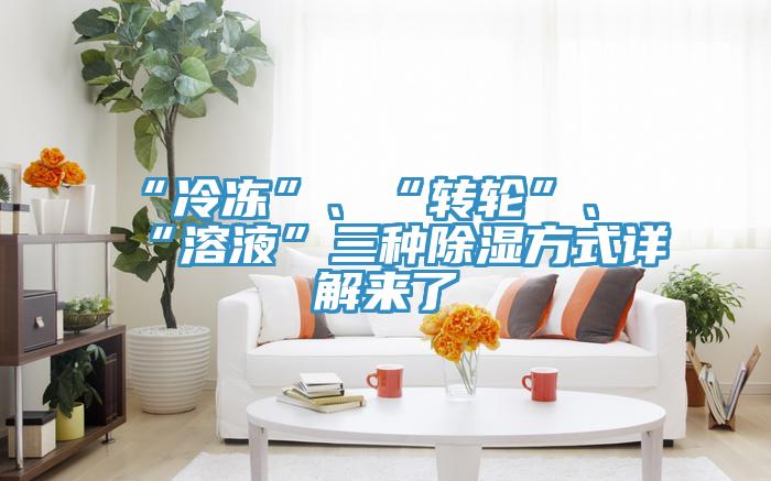 “冷凍”、“轉(zhuǎn)輪”、“溶液”三種除濕方式詳解來了