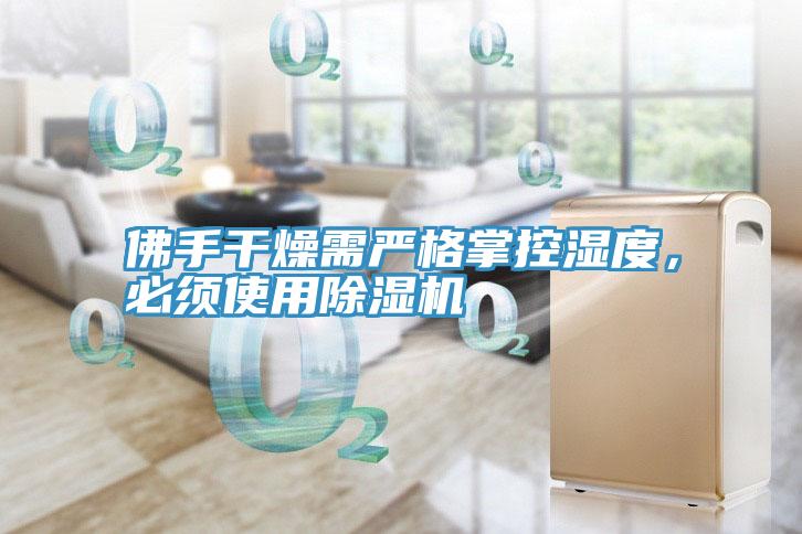 佛手干燥需嚴格掌控濕度，必須使用除濕機