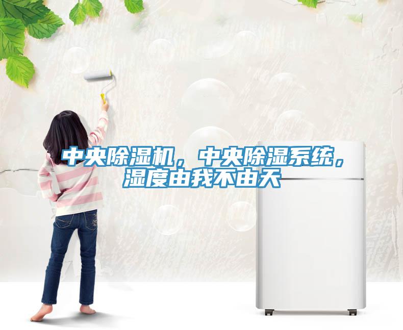 中央除濕機(jī)，中央除濕系統(tǒng)，濕度由我不由天