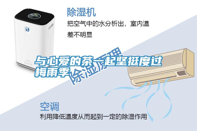 與心愛的茶一起堅(jiān)挺度過梅雨季
