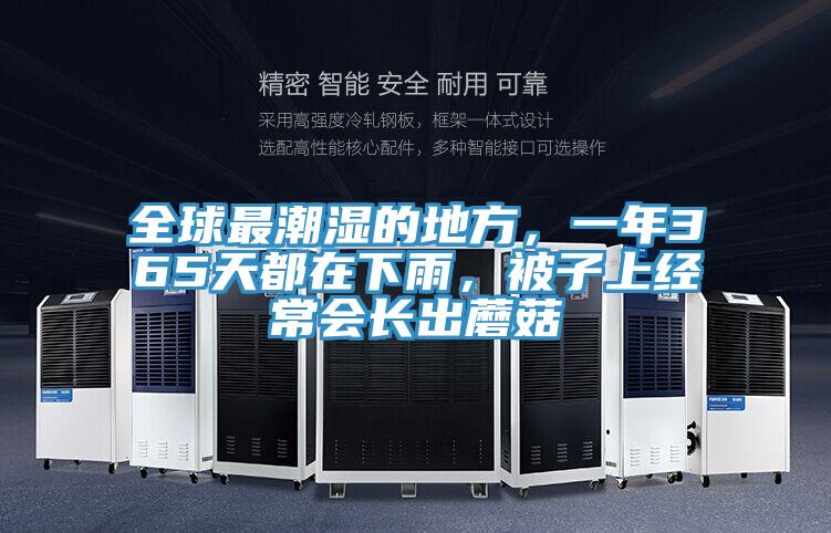 全球最潮濕的地方，一年365天都在下雨，被子上經常會長出蘑菇