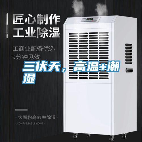 三伏天，高溫+潮濕