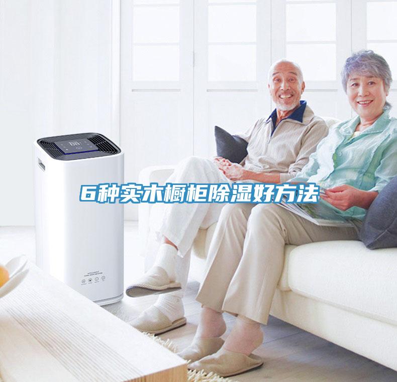 6種實(shí)木櫥柜除濕好方法