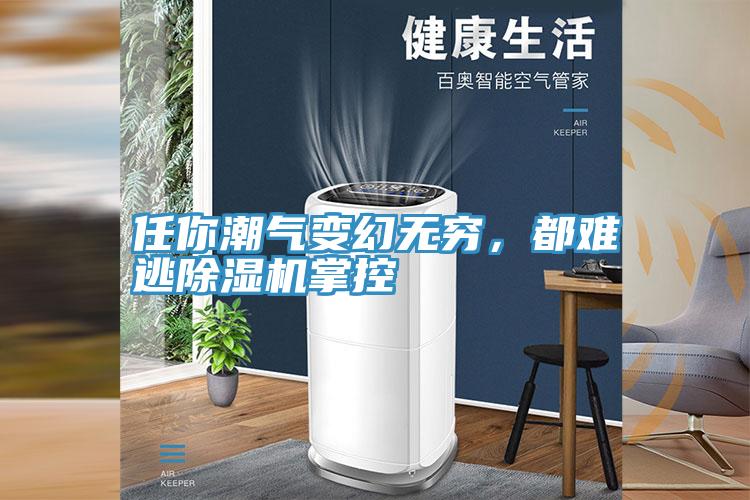 任你潮氣變幻無窮，都難逃除濕機掌控