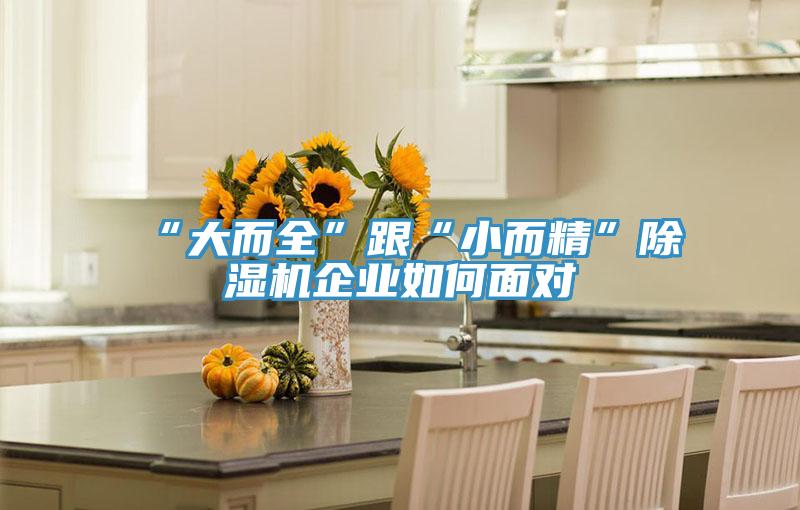 “大而全”跟“小而精”除濕機(jī)企業(yè)如何面對