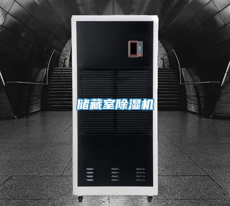 儲(chǔ)藏室除濕機(jī)