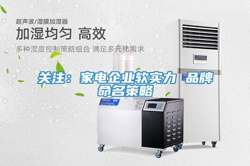 關(guān)注：家電企業(yè)軟實力 品牌命名策略