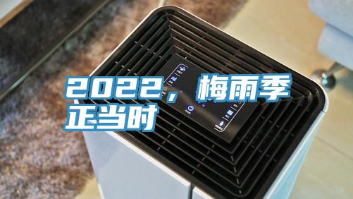 2022，梅雨季正當(dāng)時