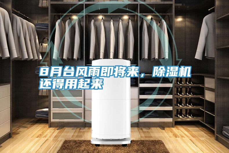 8月臺(tái)風(fēng)雨即將來，除濕機(jī)還得用起來