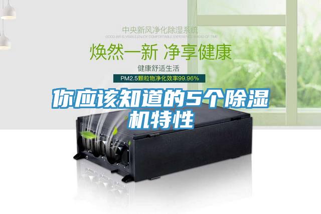 你應(yīng)該知道的5個除濕機特性