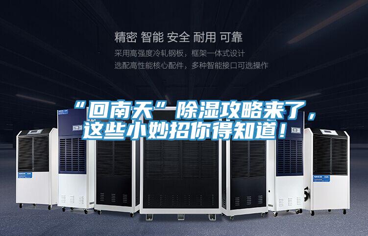 “回南天”除濕攻略來了，這些小妙招你得知道！