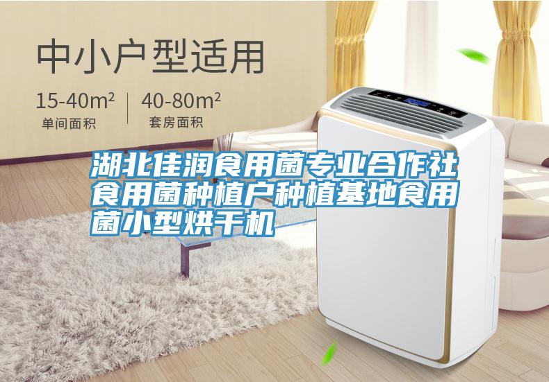 湖北佳潤食用菌專業(yè)合作社食用菌種植戶種植基地食用菌小型烘干機