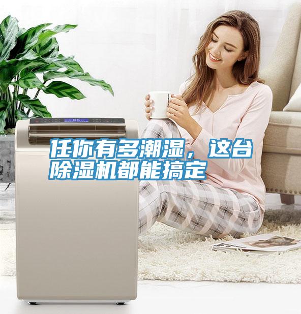 任你有多潮濕，這臺除濕機都能搞定