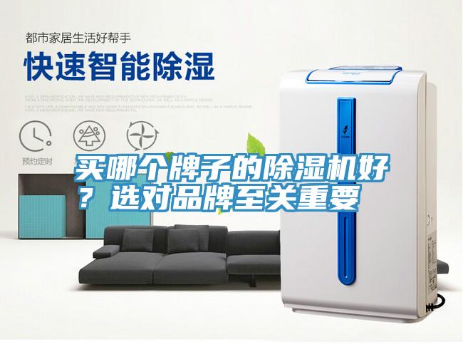 買哪個牌子的除濕機好？選對品牌至關(guān)重要