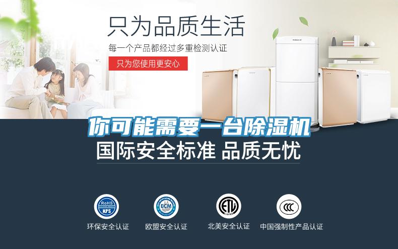 你可能需要一臺除濕機(jī)
