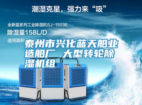 泰州市興化藍(lán)天船業(yè)造船廠 大型轉(zhuǎn)輪除濕機(jī)組