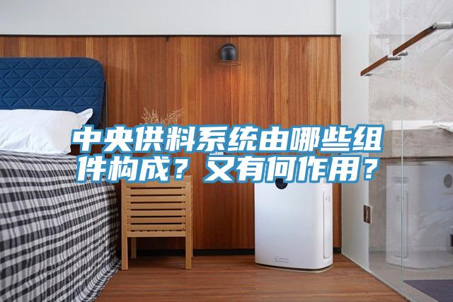 中央供料系統(tǒng)由哪些組件構成？又有何作用？