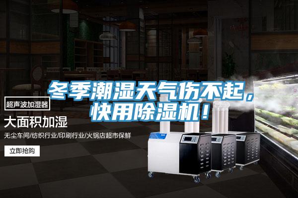 冬季潮濕天氣傷不起，快用除濕機(jī)！