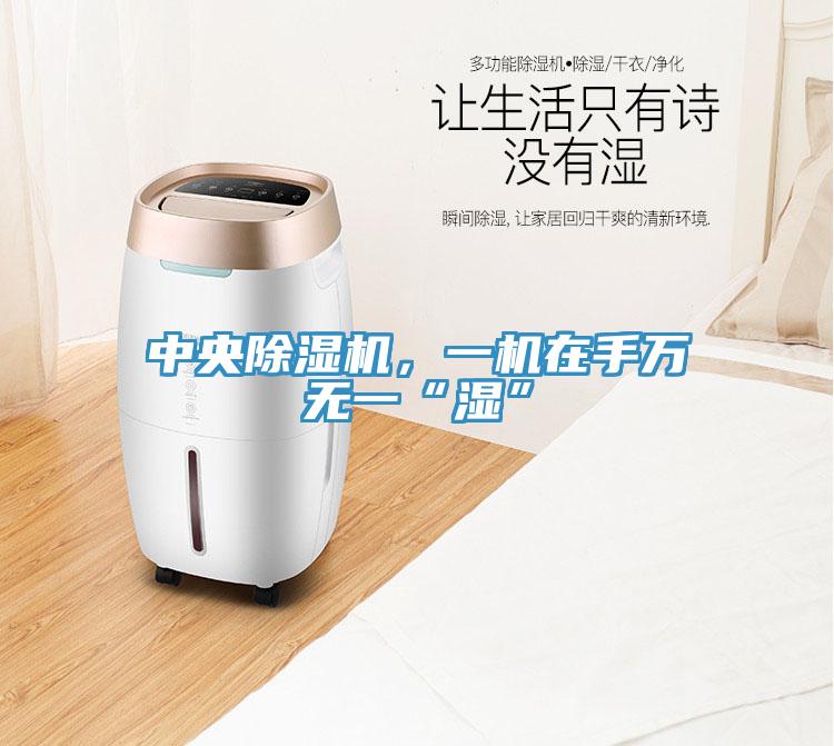 中央除濕機(jī)，一機(jī)在手萬無一“濕”