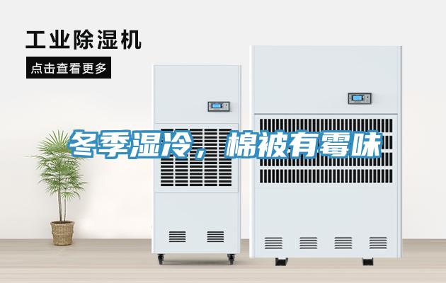 冬季濕冷，棉被有霉味