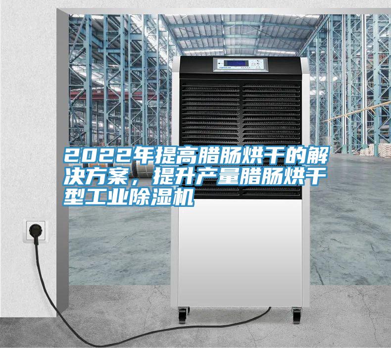 2022年提高臘腸烘干的解決方案，提升產(chǎn)量臘腸烘干型工業(yè)除濕機(jī)