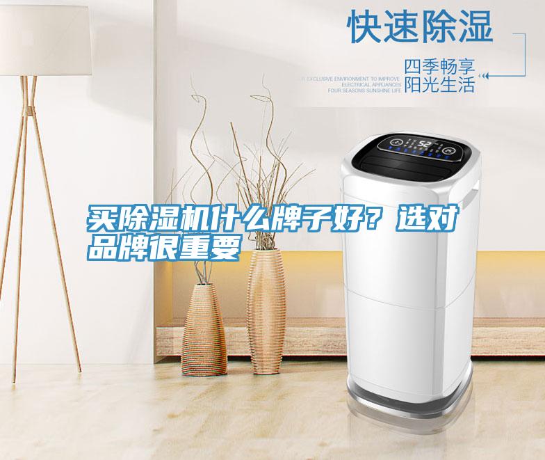 買除濕機(jī)什么牌子好？選對(duì)品牌很重要