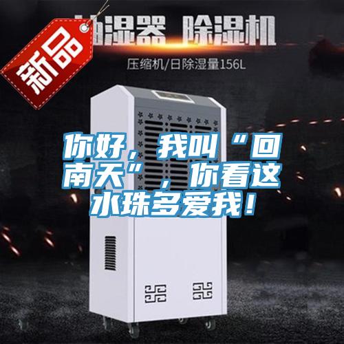 你好，我叫“回南天”，你看這水珠多愛我！