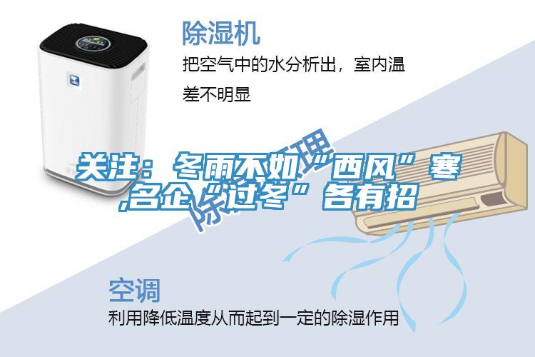 關(guān)注：冬雨不如“西風(fēng)”寒,名企“過冬”各有招
