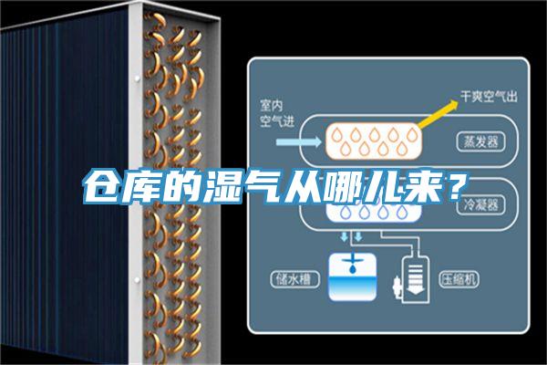 倉庫的濕氣從哪兒來？