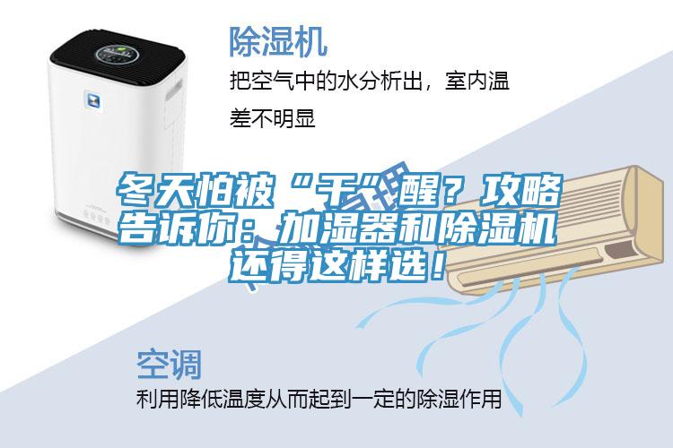 冬天怕被“干”醒？攻略告訴你：加濕器和除濕機(jī)還得這樣選！