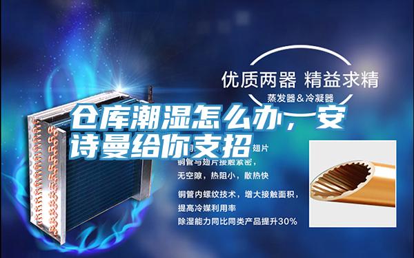 倉(cāng)庫(kù)潮濕怎么辦，安詩(shī)曼給你支招
