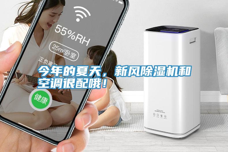 今年的夏天，新風(fēng)除濕機(jī)和空調(diào)很配哦！