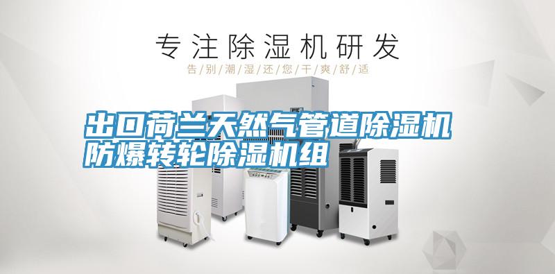 出口荷蘭天然氣管道除濕機(jī) 防爆轉(zhuǎn)輪除濕機(jī)組