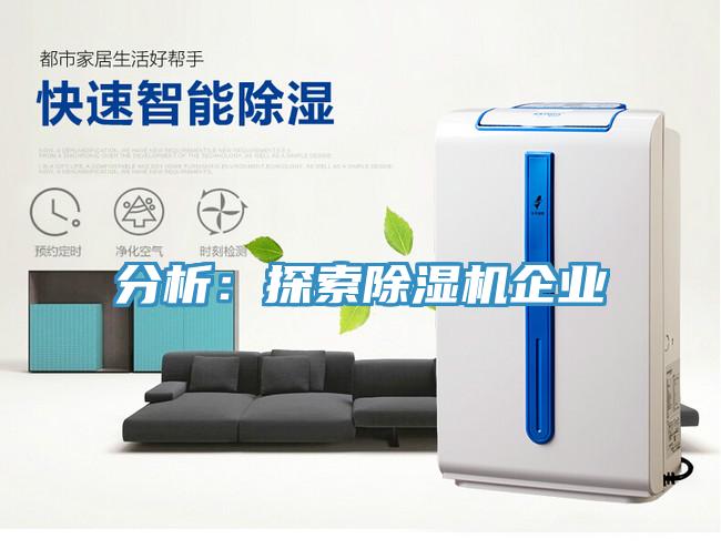 分析：探索除濕機企業(yè)