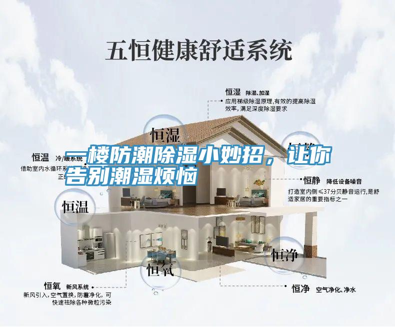 一樓防潮除濕小妙招，讓你告別潮濕煩惱