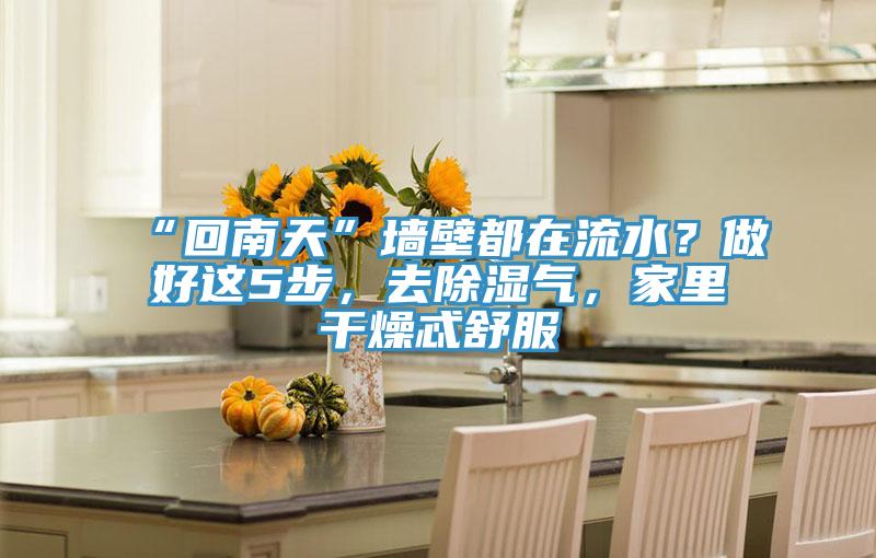 “回南天”墻壁都在流水？做好這5步，去除濕氣，家里干燥忒舒服
