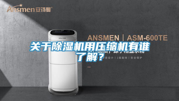 關(guān)于除濕機用壓縮機有誰了解？