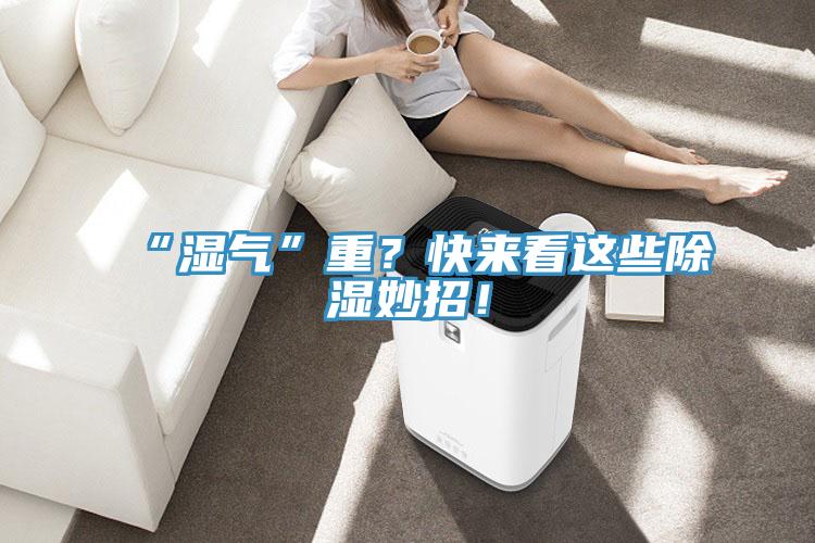 “濕氣”重？快來看這些除濕妙招！