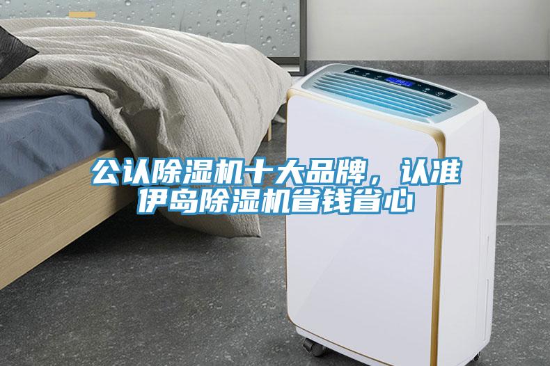 公認除濕機十大品牌，認準伊島除濕機省錢省心
