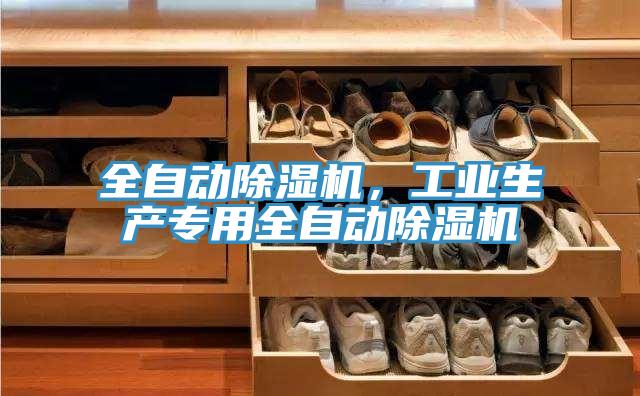 全自動(dòng)除濕機(jī)，工業(yè)生產(chǎn)專用全自動(dòng)除濕機(jī)