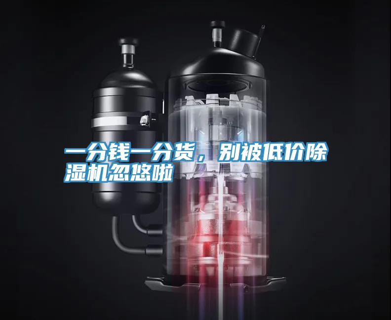 一分錢(qián)一分貨，別被低價(jià)除濕機(jī)忽悠啦