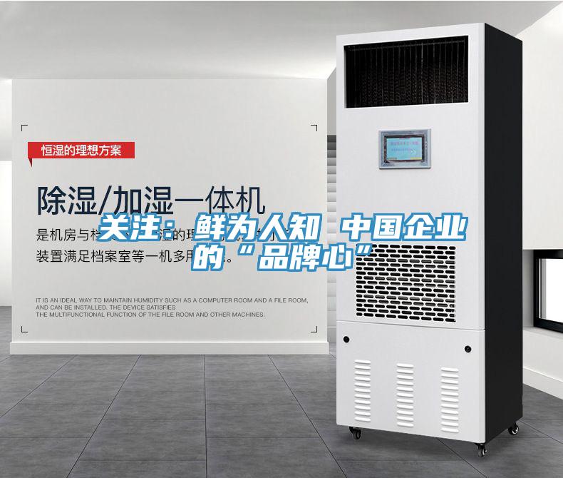 關(guān)注：鮮為人知 中國企業(yè)的“品牌心”