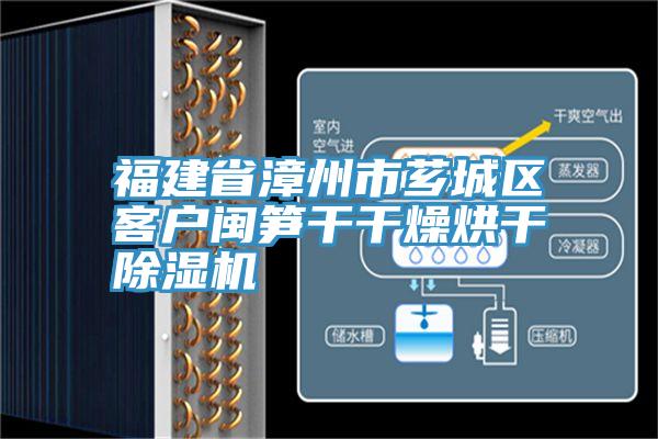 福建省漳州市薌城區(qū)客戶閩筍干干燥烘干除濕機(jī)