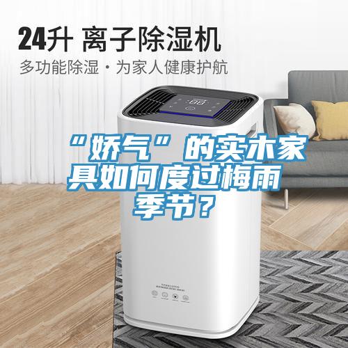 “嬌氣”的實木家具如何度過梅雨季節(jié)？