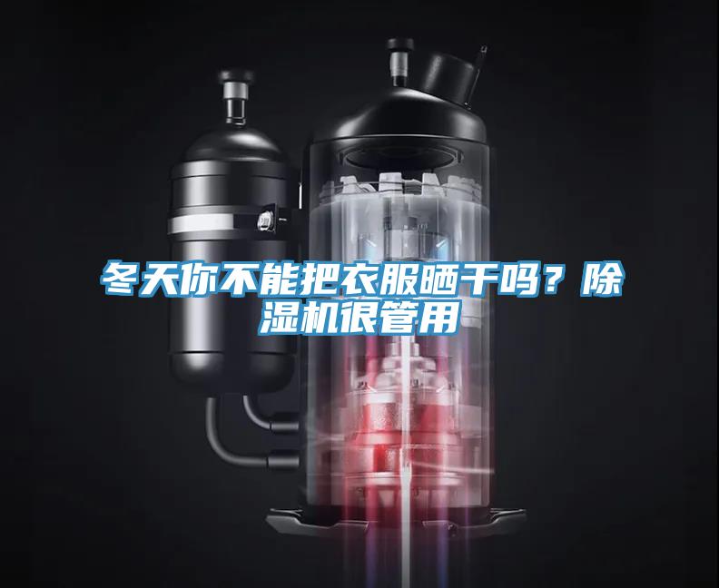 冬天你不能把衣服曬干嗎？除濕機(jī)很管用