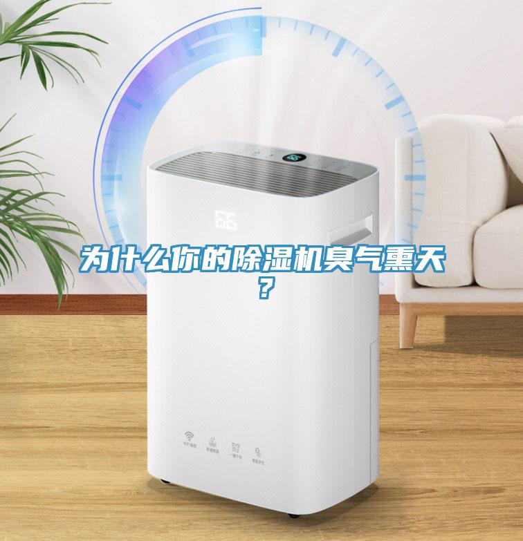 為什么你的除濕機(jī)臭氣熏天？